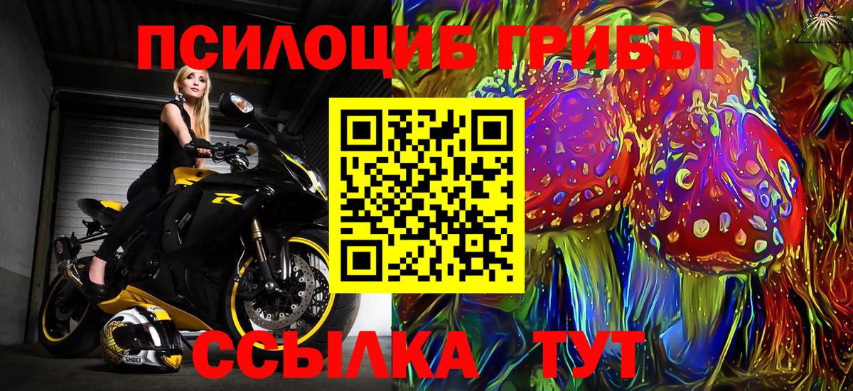 Псилоцибиновые грибы мицелий  Вход с VPN  Ипатово 